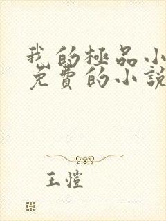 我的极品小姨全免费的小说