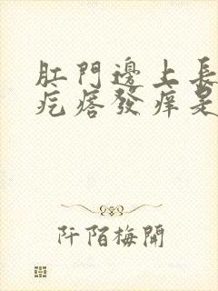 肛门边上长了个疙瘩发痒是怎么回事