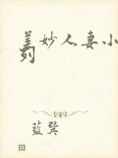 美妙人妻小说系列