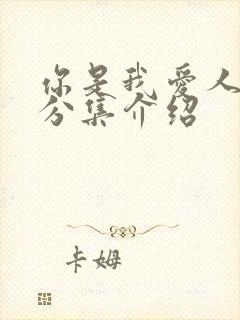 你是我爱人剧情分集介绍