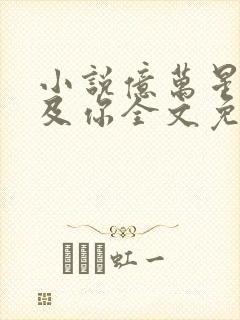 小说亿万星辰不及你全文免费阅读封面