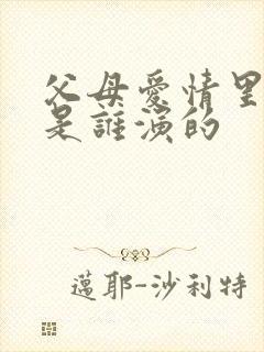 父母爱情里安欣是谁演的