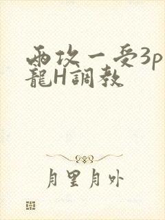 两攻一受3p双龙H调教