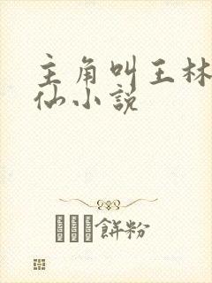 主角叫王林的修仙小说