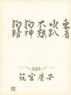 狗狗不吃东西没精神想趴着呕吐封面