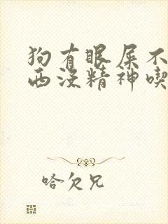 狗有眼屎不吃东西没精神吃什么药好