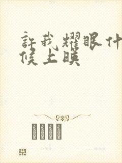 许我耀眼什么时候上映