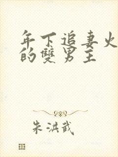 年下追妻火葬场的双男主封面