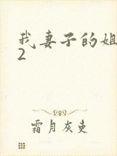 我妻子的姐姐 2