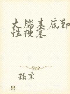 大脑基底节腔隙性梗塞