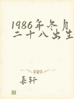 1986年冬月二十八出生的命运怎么样封面