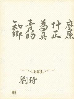 知青为什么要下乡的真正原因