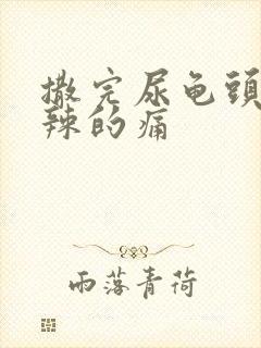 撒完尿龟头火辣辣的痛