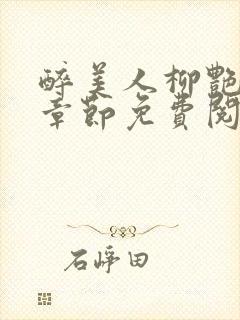 醉美人柳艳最新章节免费阅读封面