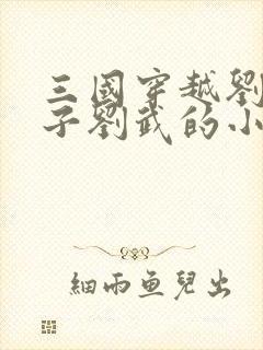 三国穿越刘备长子刘武的小说封面