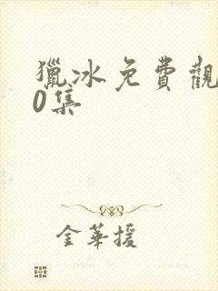 猎冰免费观看40集