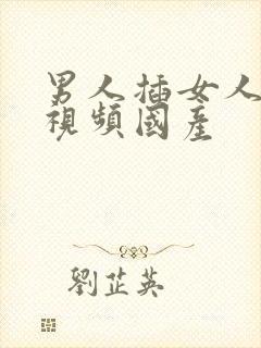 男人插女人的逼视频国产封面