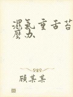 湿气重舌苔白怎么办