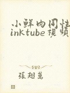 小鲜肉同性twinktube视频封面