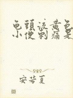 龟头流黄色液体小便刺痛是什么病