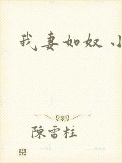 我妻如奴 小说封面