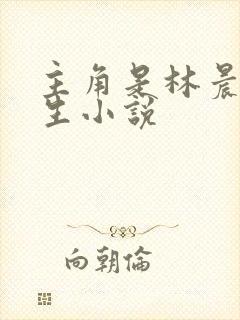 主角是林晨的重生小说封面