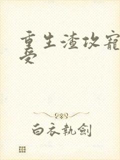 重生渣攻宠痴情受