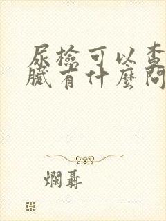 尿检可以查出肾脏有什么问题吗