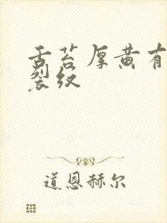 舌苔厚黄有齿痕裂纹