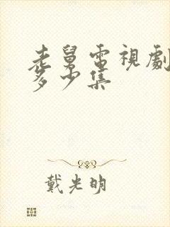 老舅电视剧总共多少集