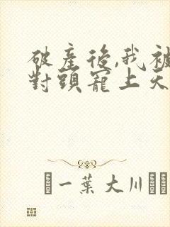 破产后,我被死对头宠上天小说版封面