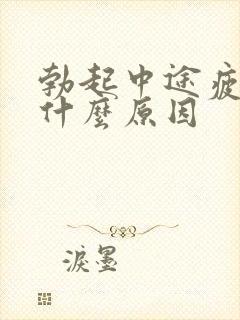 勃起中途疲软是什么原因