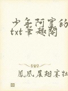 少年阿宾的小说txt笔趣阁
