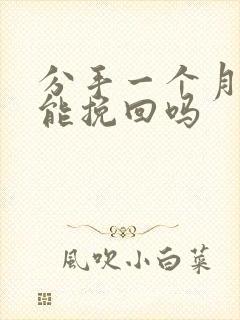 分手一个月了还能挽回吗封面