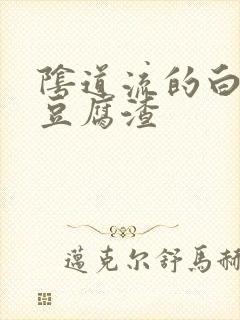 阴道流的白带像豆腐渣封面