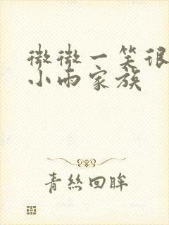 微微一笑很倾城小雨家族