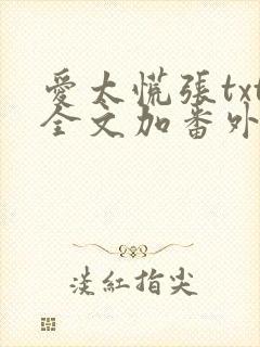 爱太慌张txt全文加番外