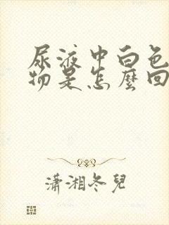 尿液中白色沉淀物是怎么回事