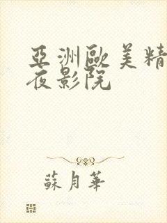 亚洲欧美精品午夜影院