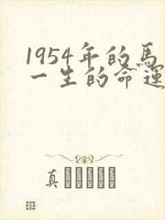 1954年的马一生的命运