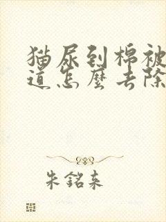 猫尿到棉被上味道怎么去除