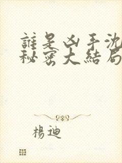 谁是凶手沈雨的秘密大结局