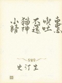 小猫不吃东西没精神还吐怎么办