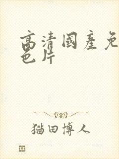 高清国产免费黄色片