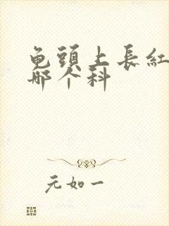 龟头上长红点挂哪个科封面