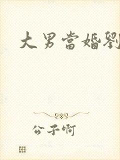 大男当婚刘晨曦封面