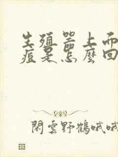 生殖器上面长痘痘是怎么回事