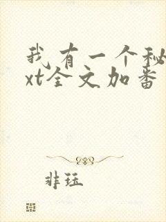 我有一个秘密txt全文加番外