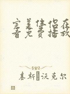 完美伴侣在线观看免费播放全集