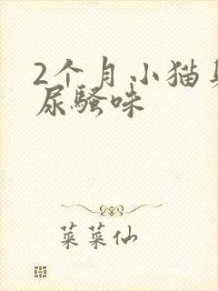 2个月小猫身上尿骚味